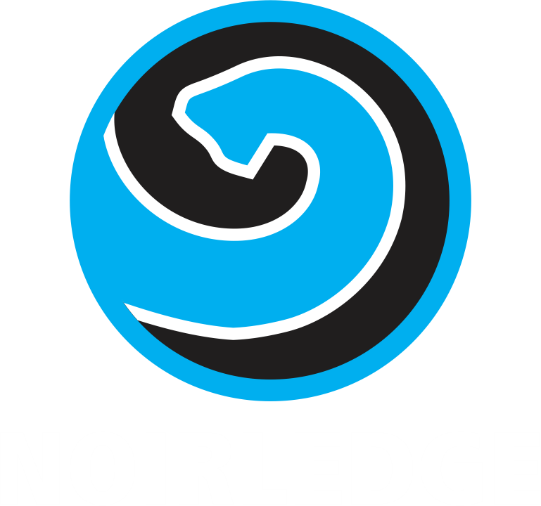 noirledge website logo ii