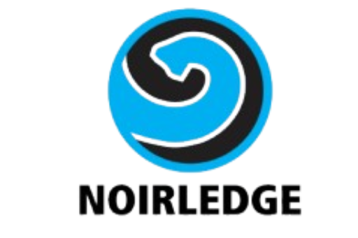 noirledge website logo i removebg preview